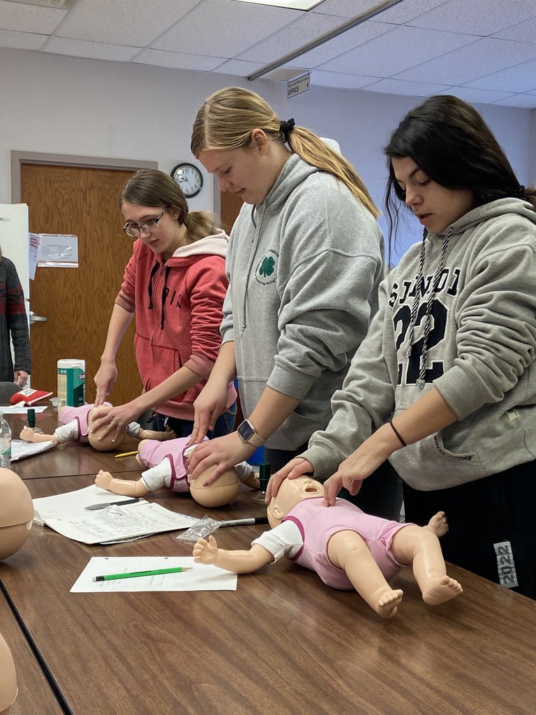 Teaching Professions CPR